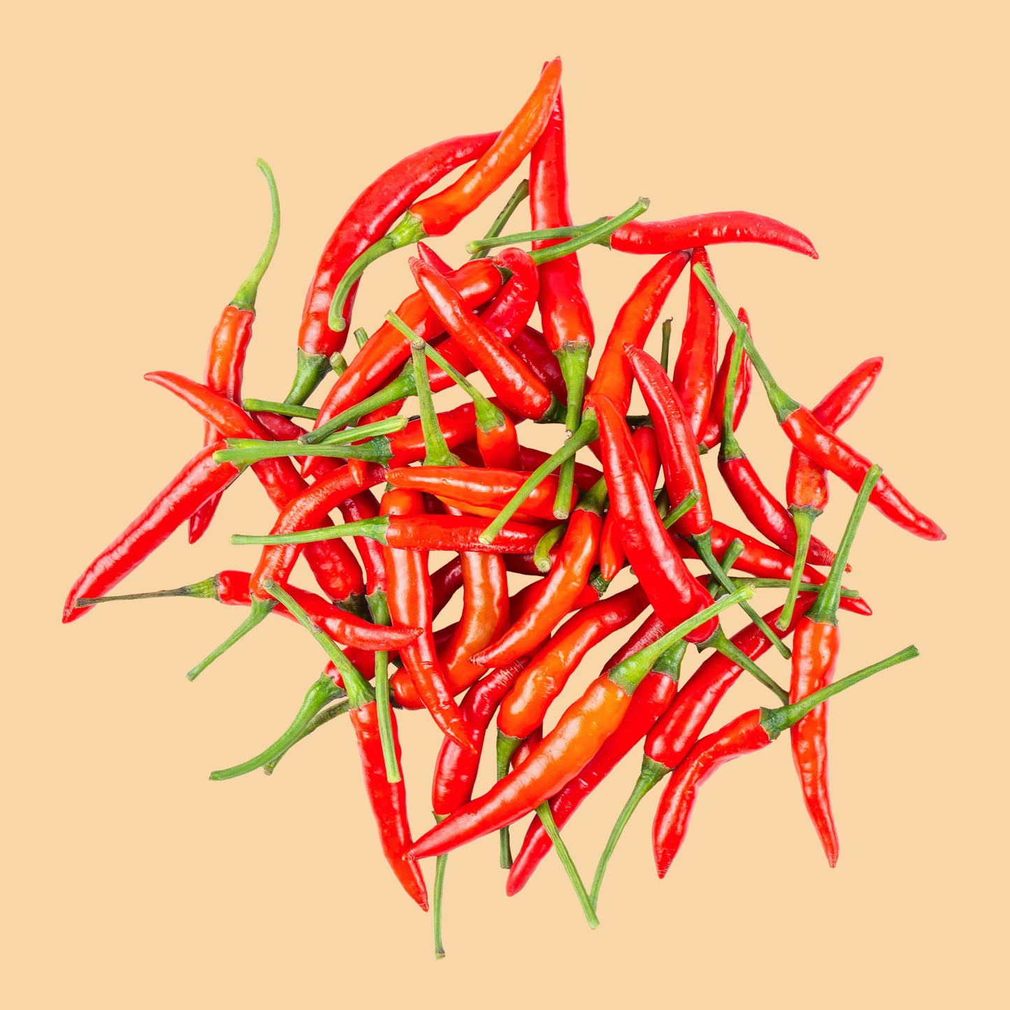 Chili Rot - 100g