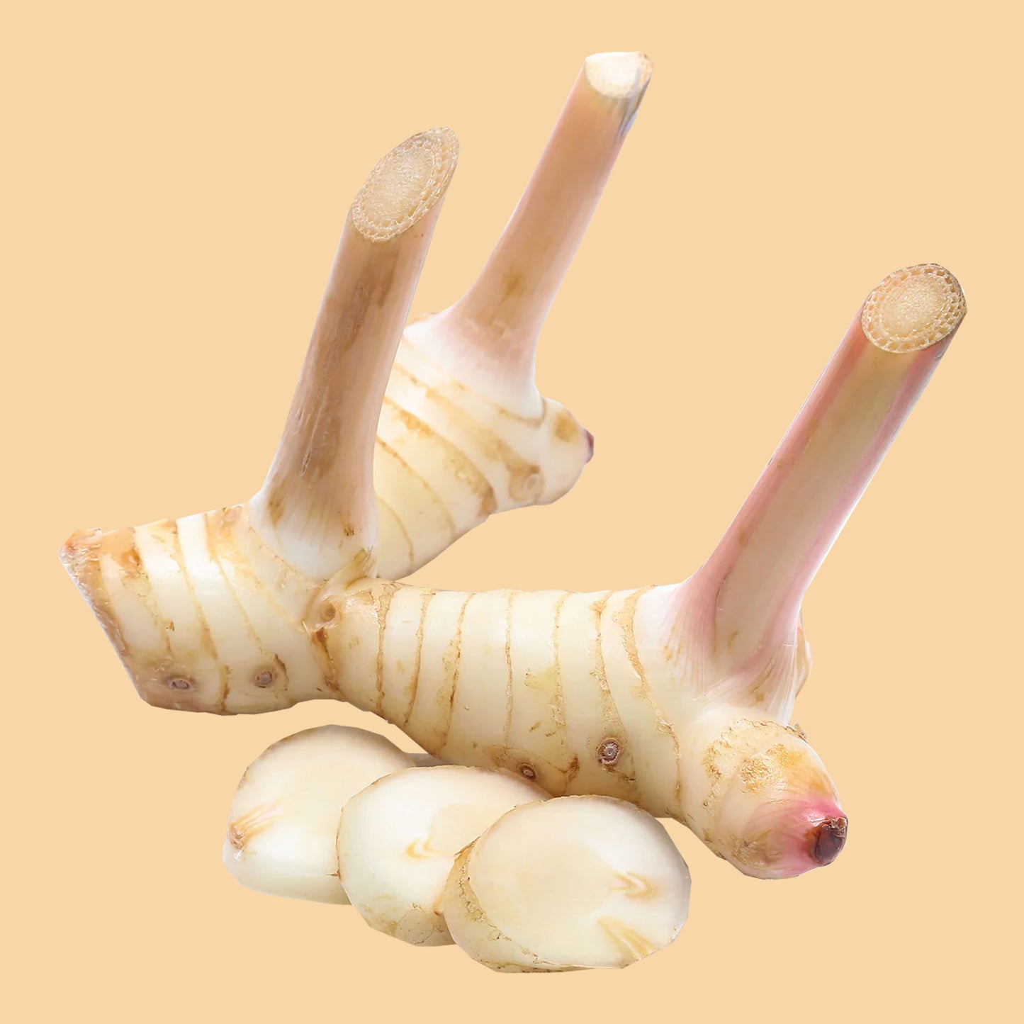 Galanga - 250g