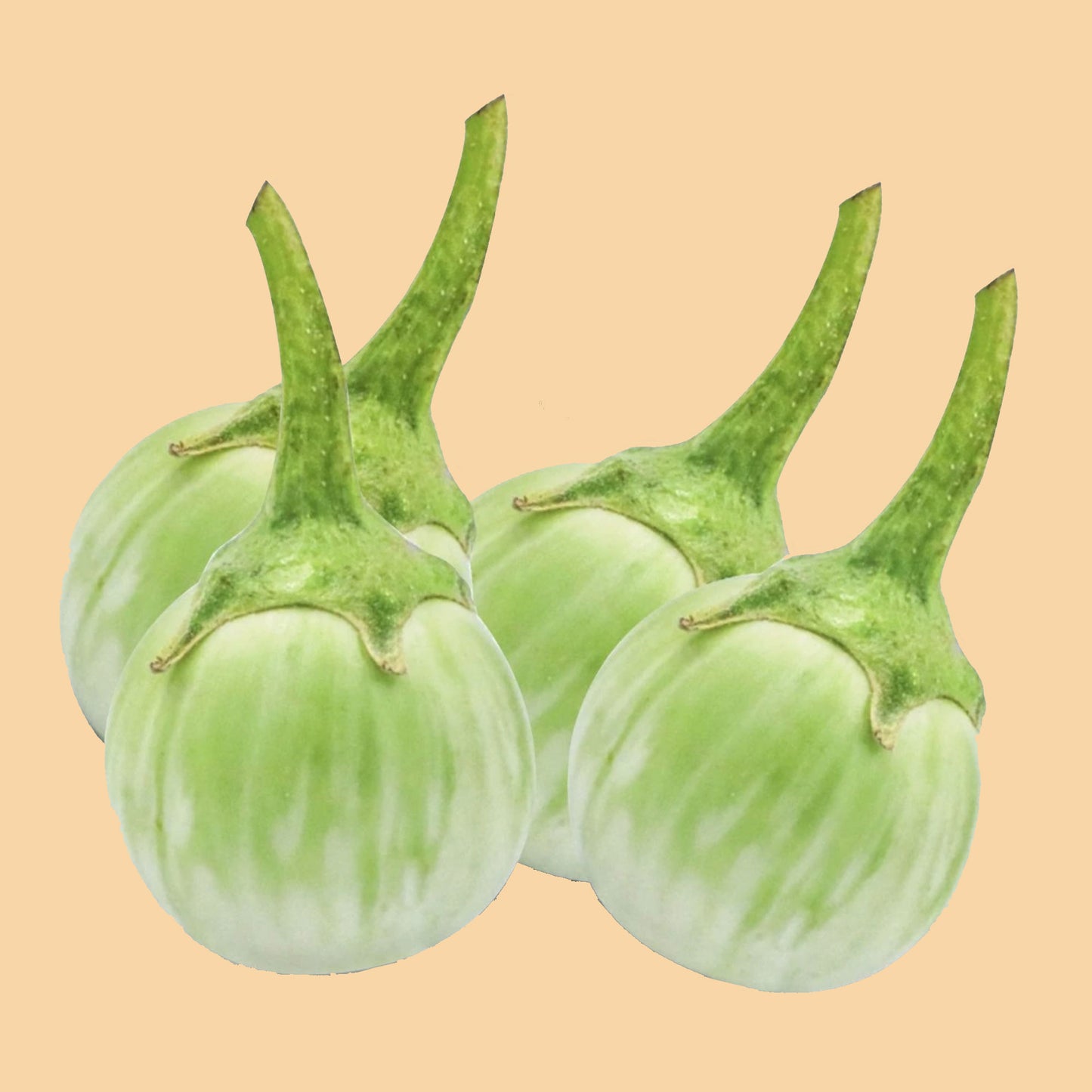 thai-aubergine