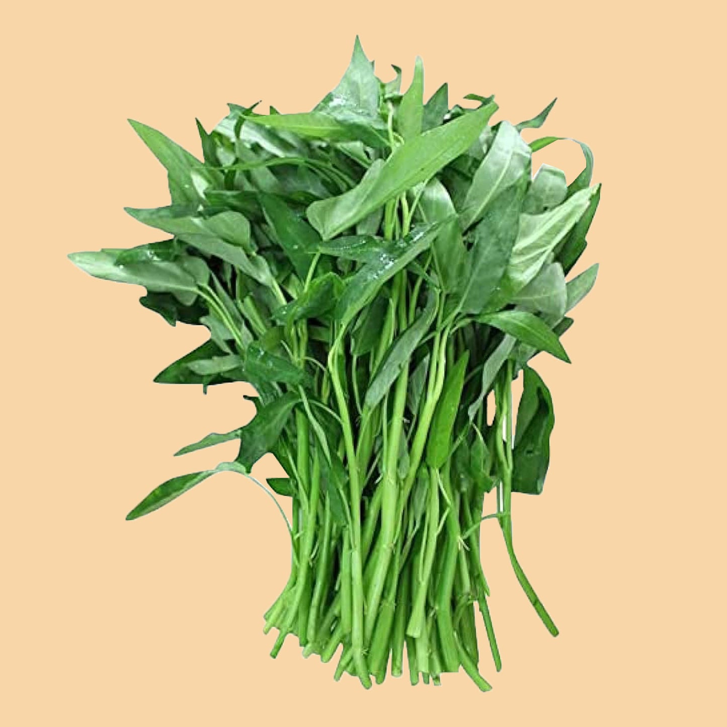 Thai Spinat 100g