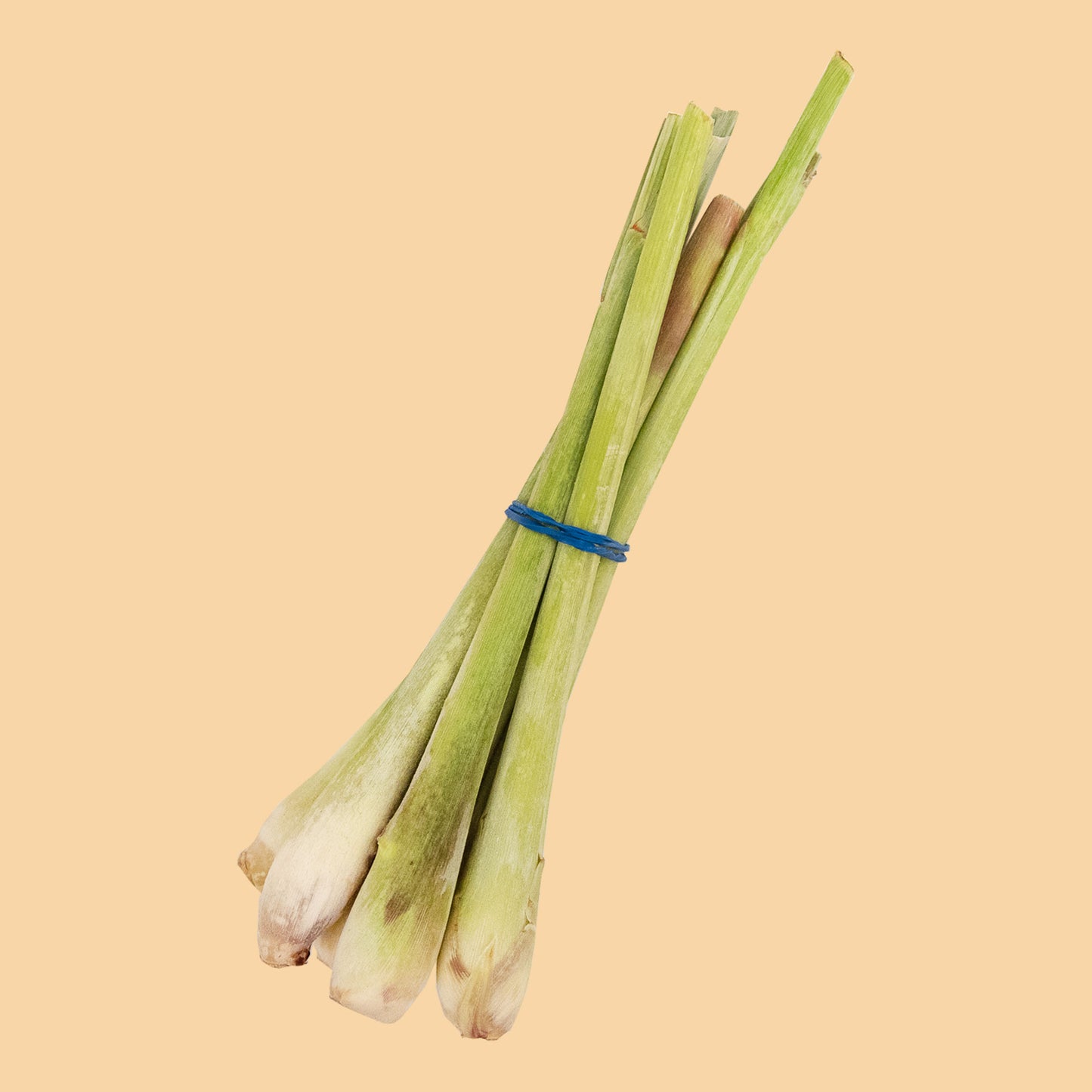 Zitronengras