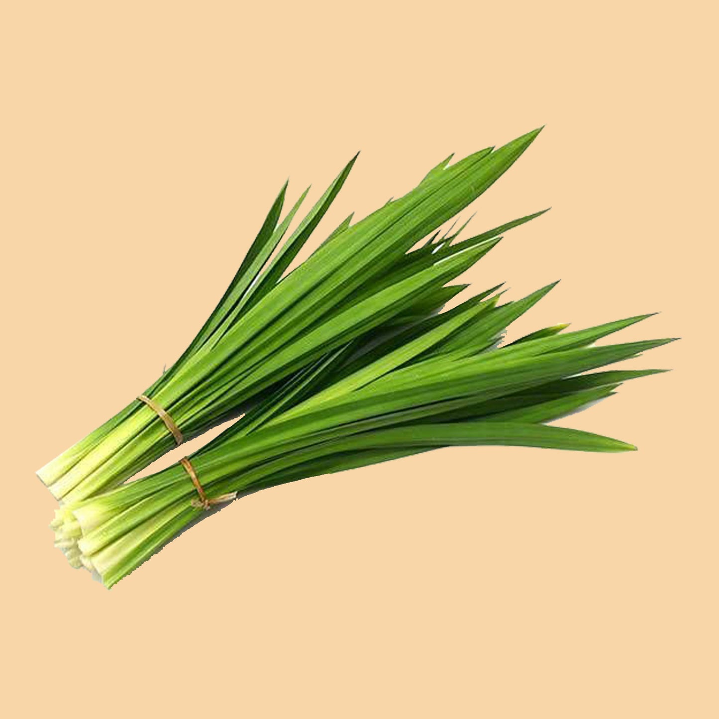 pandan